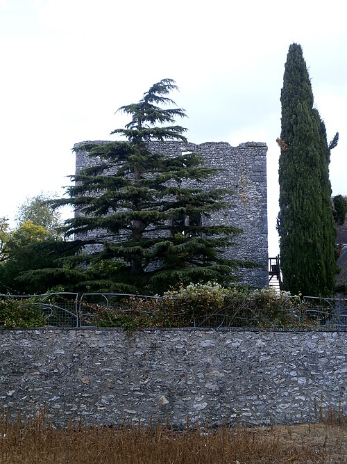 donjon de Cigogné