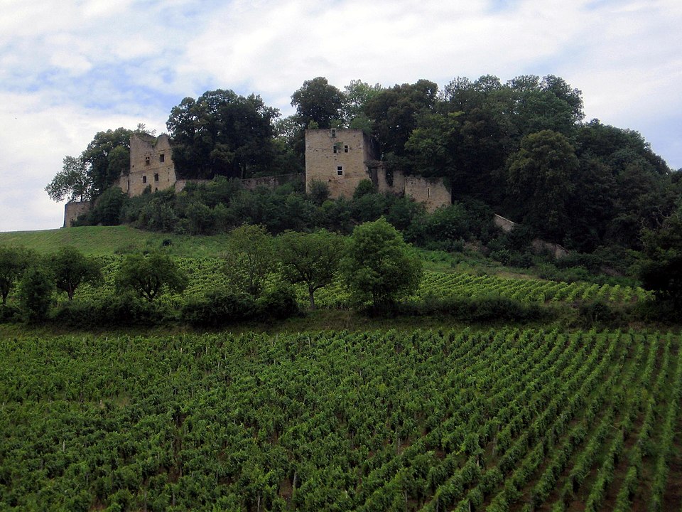 Château d'Arlay : le plus ancien château-vignoble de France, entre ruines féodales et vin jaune