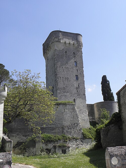 donjon de Curçay-sur-Dive