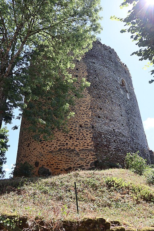 donjon de Saint-Sauveur-en-Puisaye