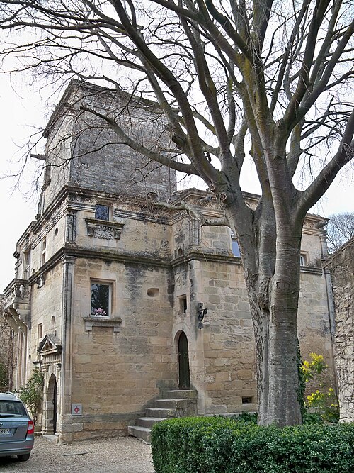 tour des Cardinaux