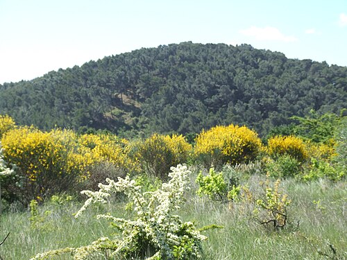 oppidum de Pierredon à Éguilles