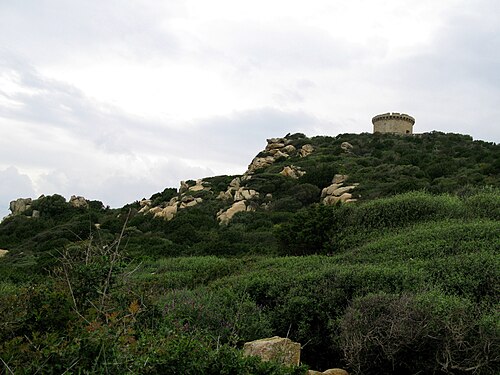 tour de Campomoro