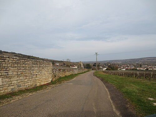 château de Santenay