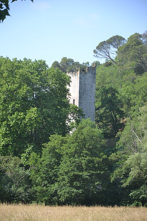 tour du moulin du Duc
