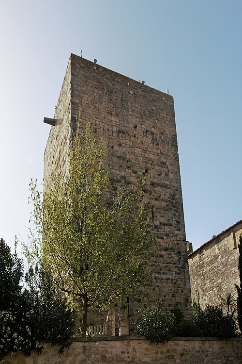 tour seigneuriale de Moussac