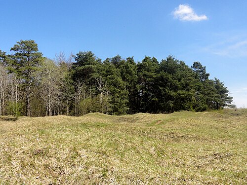oppidum de Bailleul-sur-Thérain