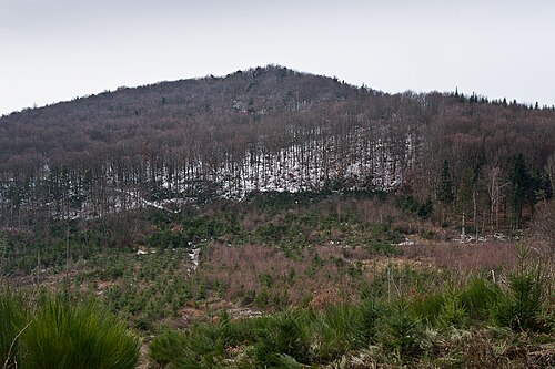 oppidum du Châtelard