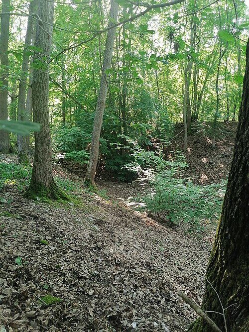 camp de César