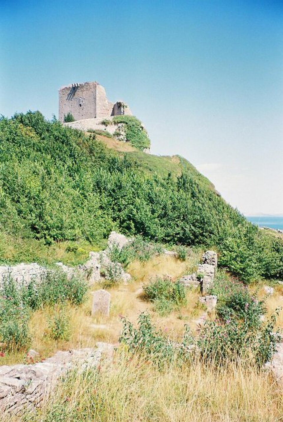 Rufus Castle