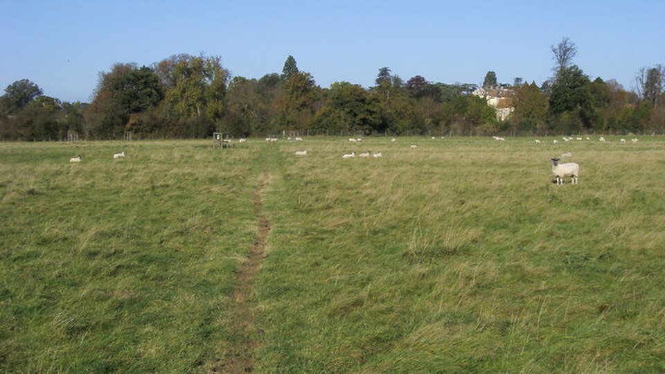 Thame Park House