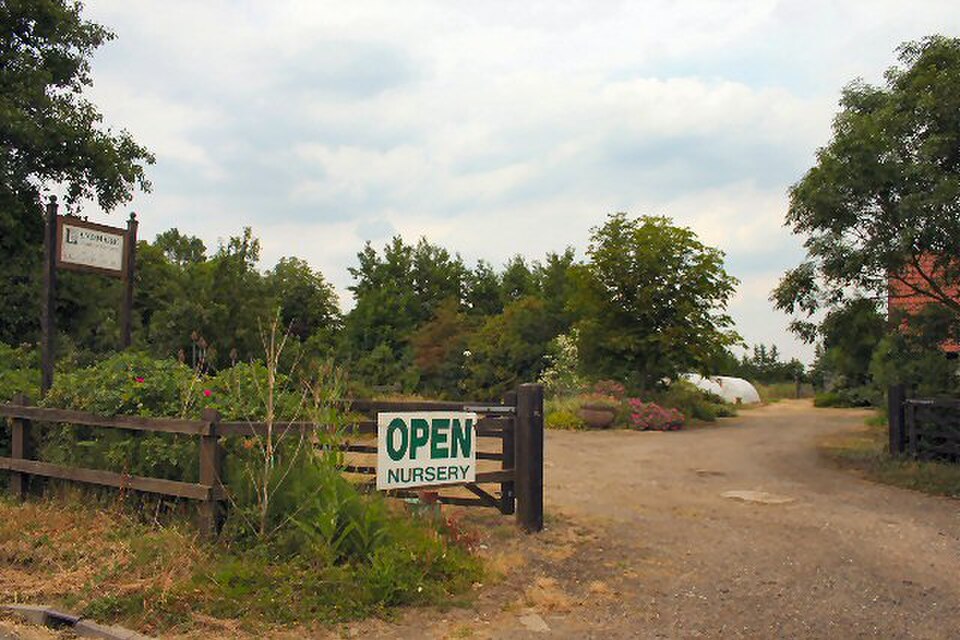 Gifford's Hall