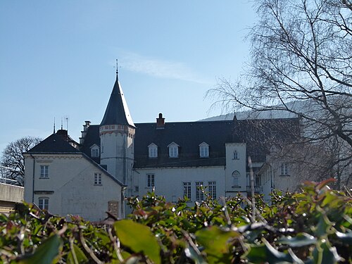 Château de Chanay