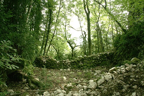 Château de Montgriffon