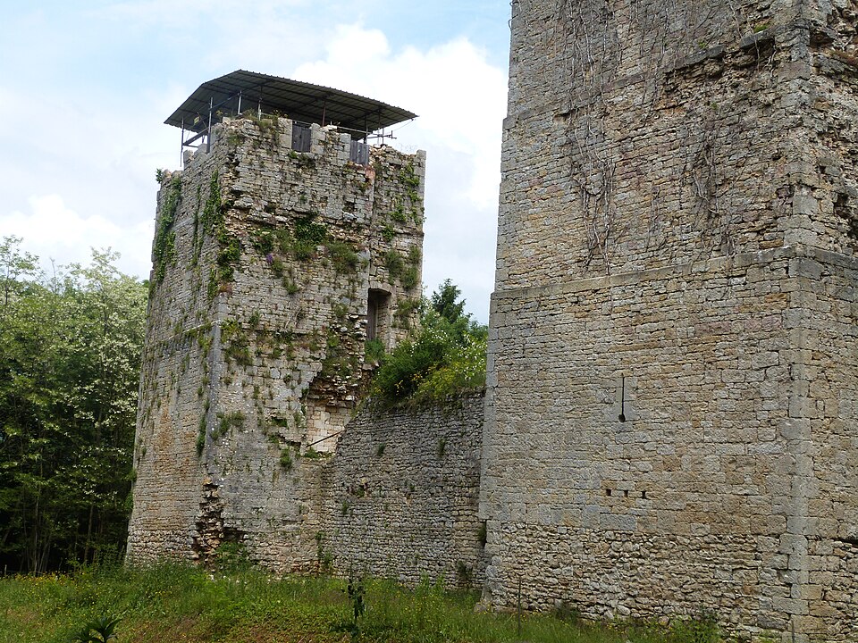 Neuville-sur-Ain：一户人家独自拯救了艾因省图尔废墟城堡