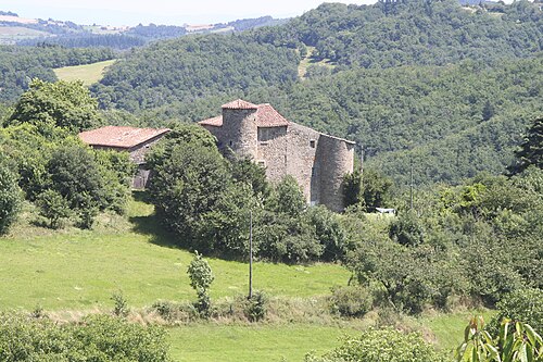 Château de Dol