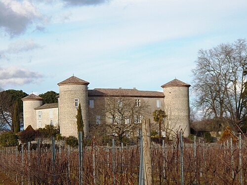 Château de la Selve