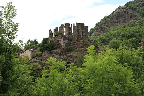 Château de Saint-Julien-d'Arpaon